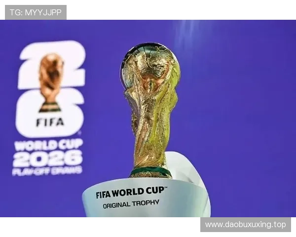 2026世界杯分档规则依据什么决定